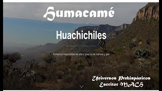 🇲🇽🏹 Cuentos leyendas y misterios de San Luis Potosí ❤️ Humacamé Cap 26 Huachichil  Entrevista [upl. by Soren773]