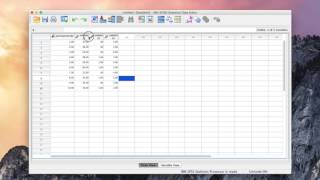 Introducing the SPSS data editor and entering data [upl. by Telfore]