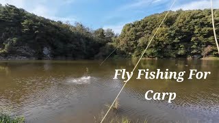 잉어 플라이 낚시 Fly Fishing  Carp On The Fly [upl. by Idnaj]