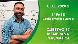 QUESTÃO 57  UECE 20202  1ª FASE CONHECIMENTOS GERAIS [upl. by Bozuwa481]