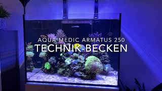 Aqua Medic Armatus 250 quotEinblick ins Technikbeckenquot [upl. by Lorianna]