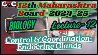 12th Maharashtra State Board202425BiologyControl amp Coordination  Lecture 12 [upl. by Moynahan]