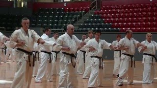 Dageki 2016 4 Masters  Kenji Yamaki video 3 Gaby Hajjar [upl. by Adalheid]