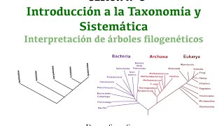 Sesión 8 Introducción a la Taxonomía y Sistemática Interpretación de árboles filogenéticos [upl. by Fita]