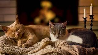 Crackling Fire and Cat Purring Sounds🔥Soothing Cat Sleep Video 4K Sleeping Cats by Fireplace Noises [upl. by Ayerf]