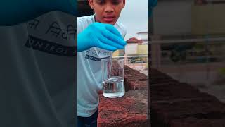 Magical Iodine Solution science shorts [upl. by Clarice]