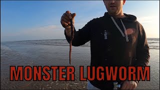 How to Pump BIG lugworm [upl. by Juline34]