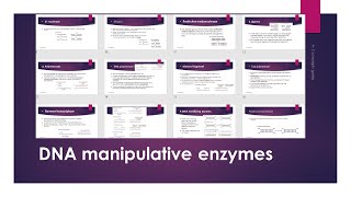 DNA Manipulative Enzymes Gene Conning  Urdu\ Hindi [upl. by Nyleek]