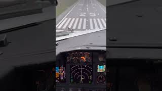 Low visibility landing 🛬 aviation visibility landing viral shorts cockpit cockpitoplite fyp [upl. by Nozicka]