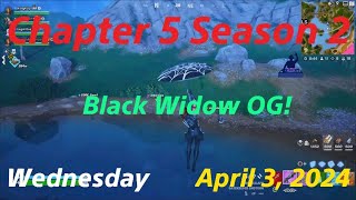 Fortnite  Black Widow OG Gameplay  WIN  Chapter 5 Season 2  April 3 2024 [upl. by Oiliduab856]