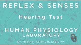 Hearing Test for Students  Reflex amp Senses  Human Physiology  Dr Ketchum  OU [upl. by Hayse]