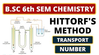 Hittorfs Method  BSC 6th Sem Chemistry  Electrochemistry  On Finding Transport Number [upl. by Etennaej]