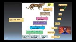 Taxonomy Phylogeny and Systematics [upl. by Kalikow]