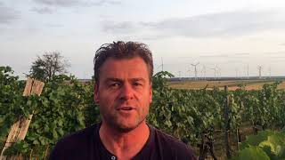 Austrias Carnuntum wine region with Gerhard Markowitsch [upl. by Oicam]