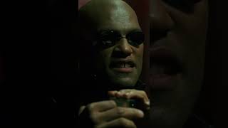 Morpheus Warns Neo About the Matrix Sequels [upl. by Navak]