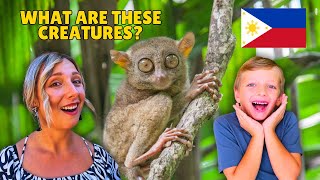 Why we Love BOHOL 😍 EPIC Day In The Philippines amp Tarsiers 🇵🇭 [upl. by Neirod]