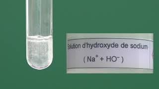 Réaction de lacide chlorhydrique sur le fer [upl. by Letney]