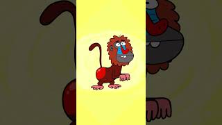 Baboon Kids Song  Hooray Kids Songs shorts hooraykidssongs nurseryrhymes monkey [upl. by Mateo354]