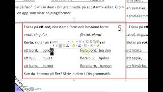 Substantiv Bok 3 s 55 [upl. by Eterg]