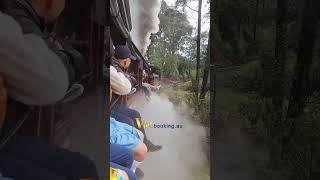 Puffing Billy vietbooking vbooking cuocsonguc [upl. by Eocsor196]