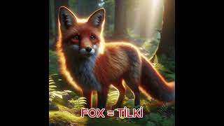 FOX  TİLKİ english ingilizceegitim eğitim [upl. by Eiveneg]