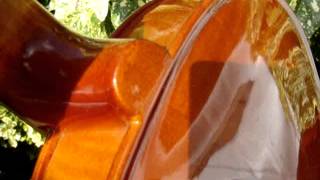 Possibly Vintage STENTOR Violin For Restoration  Spare or Repair See Video [upl. by Solana]