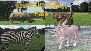 Knowsley Safari Park England [upl. by Cole]