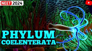 NonChordates PHYLUM COELENTERATA  Animal Kingdom  3D ANIMATION [upl. by Dex]