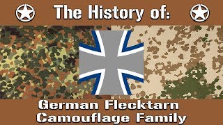 The History of The German Flecktarn Camouflage Family  Uniform History [upl. by Marielle641]