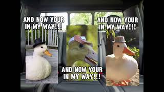 episode 5 ducker duckar and duckeer in the car [upl. by Lenod]