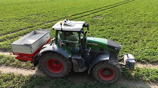 FENDT 942 mit Kverneland Exacta  TL GEOspread Streuer  4K [upl. by Eniger]