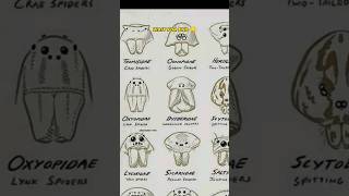 Types of spiders 😱 part2  Some Unseen spiders  Thomisidae  shorts spiders scary [upl. by Meeharb447]