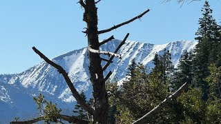 Mt Baden Powell 20 [upl. by Waers]