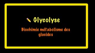 Glycolyse biochimie [upl. by Hamimej]