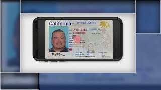 How mobile drivers license tech could be used by Bay Area businesses [upl. by Ciel]