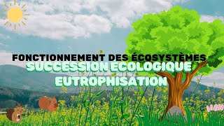 Eutrophisation et succession écologique Module Fonctionnement des écosystèmes [upl. by Leinadnhoj]