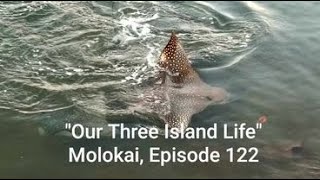 Molokai Blessed Life episode 122 [upl. by Neala]