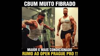 🔥Oque acham  Condicionamento atual do cbum FIBRADO e bem grande faltando poucos dias para o Praga [upl. by Ricardama]