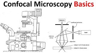 Confocal microscopy Basics [upl. by Sapphire969]