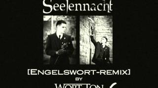 Seelennacht  In der Ferne Engelswort Remix by WORTTON [upl. by Huberty]