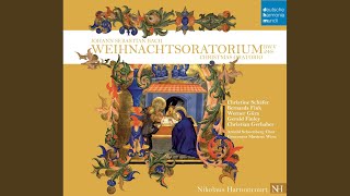 Weihnachtsoratorium BWV 248 Part II For the Second Day of Christmas 19 Aria Alt [upl. by Autrey707]