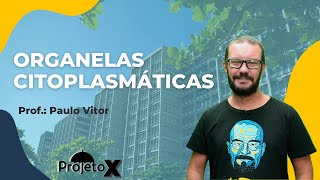 Organelas Citoplasmáticas  BIOLOGIA  Prof PAULO VITOR  Ao Vivo [upl. by Kered]