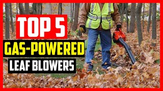 Top 5 Best Handheld Gas Powered Leaf Blowers 2024 [upl. by Aneeuq120]