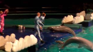 Dolfinarium Harderwijk De Droomwens complete show [upl. by Kristina]