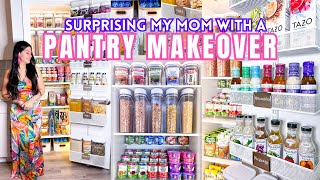 ULTIMATE PANTRY ORGANIZATION  Satisfying Clean and Pantry Restock Organizing on a Budget [upl. by Bergmann]