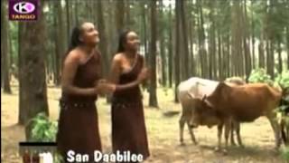 Arsi Oromo music [upl. by Siramad]