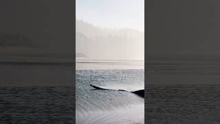 Beautiful Neskowin OR oregon travel nature oregoncoast pnw oregonvibes [upl. by Fugate]