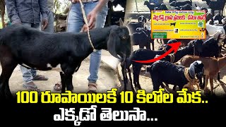 వంద రూపాయలకే 10 కిలోల మేక  10 KG Goat for 0ne Hundred Rupees  iDream [upl. by Jervis]