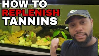 HOW TO ADD and REPLENISH DARK TANNINS to your BLACKWATER AQUARIUM [upl. by Ellinad338]