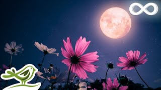 Midnight Calm Deep Sleep Music with Black Screen  Fall Asleep with Ambient Music [upl. by Mile]